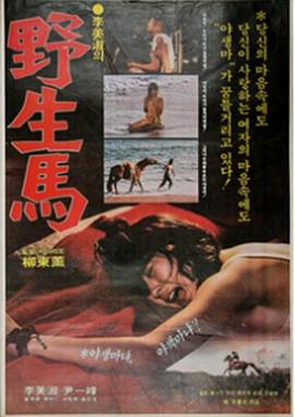 野生馬(全集)